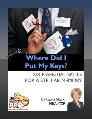 Book cover of Where Did I Put My Keys