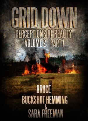 Cover of the book Grid Down Perception of Reality by C.D. Breadner