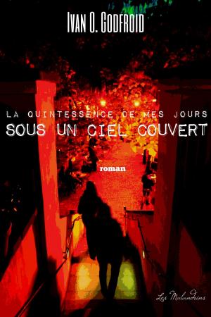 Cover of the book La Quintessence de mes jours sous un ciel couvert by S.R. Karfelt