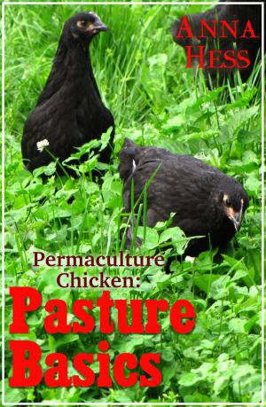 Cover of the book Pasture Basics by Anna Hess