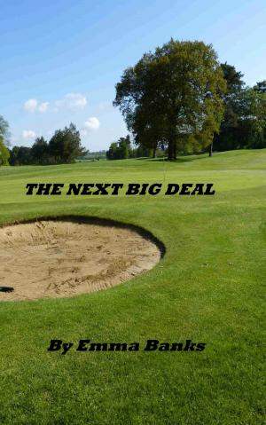 Cover of the book The Next Big Deal by Michaiah Vosberg