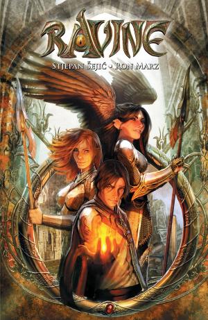 Cover of the book Ravine Volume 1 by Ron Marz