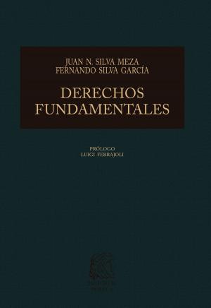 Book cover of Derechos fundamentales: Bases para la reconstrucción de la jurisprudencia mexicana