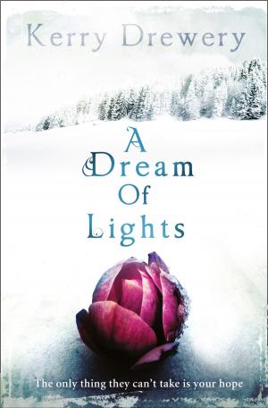 Cover of the book A Dream of Lights by Vivien Hampshire