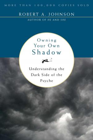 Book cover of Owning Your Own Shadow