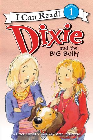 Book cover of Dixie and the Big Bully
