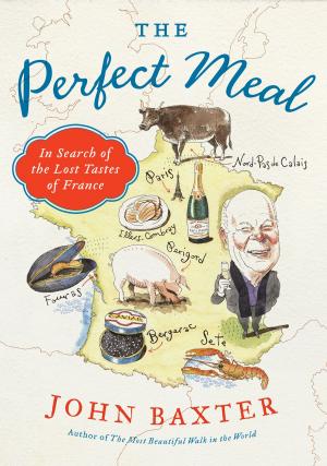 Cover of the book The Perfect Meal by Deborah Tannen