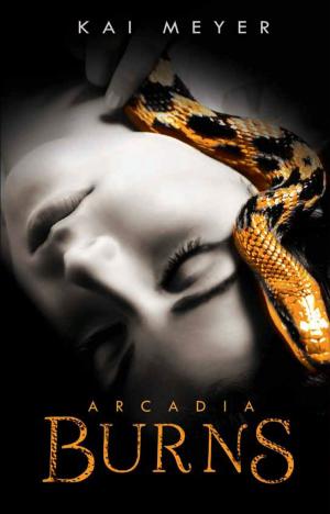 Cover of the book Arcadia Burns by Kai Meyer
