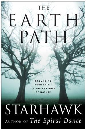 bigCover of the book The Earth Path by 