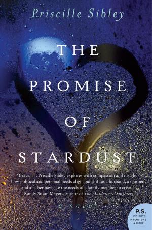Cover of the book The Promise of Stardust by Deborah Crombie