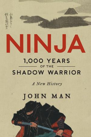 Cover of the book Ninja by Robin Antalek