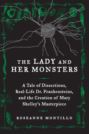 Cover of the book The Lady and Her Monsters by Vincent Pedre