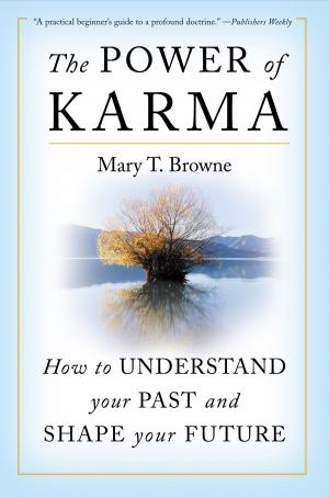 Cover of the book The Power of Karma by Enrica Orecchia Traduce Steve Pavlina