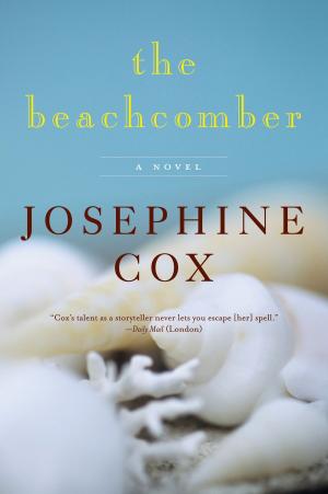 Cover of the book The Beachcomber by Maya Rodale