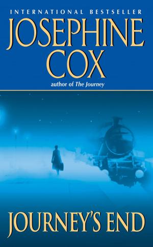Cover of the book Journey's End by Peter Doggett