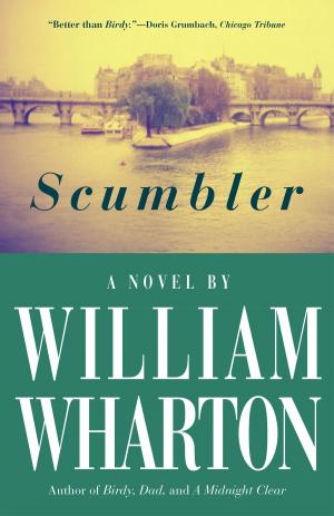 Cover of the book Scumbler by John Anderson, David Morgan