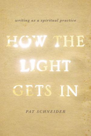 Cover of the book How the Light Gets In: Writing as a Spiritual Practice by Angela Myles Beeching