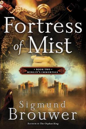 Cover of the book Fortress of Mist by Louis Joseph Vance