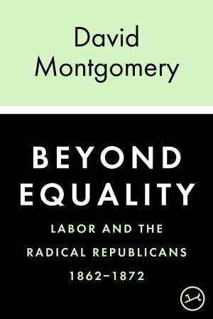 Cover of the book Beyond Equality by Jack Miles
