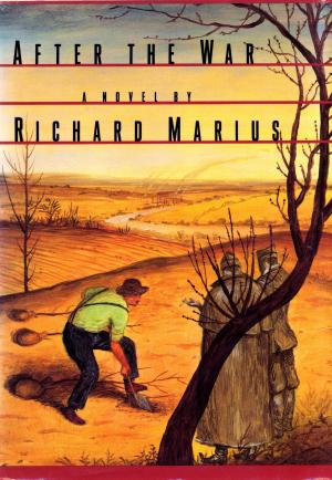 Cover of the book After The War by Richard Zacks