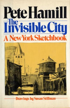 Book cover of The Invisible City