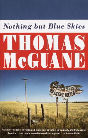 Cover of the book Nothing but Blue Skies by Roger Cohen