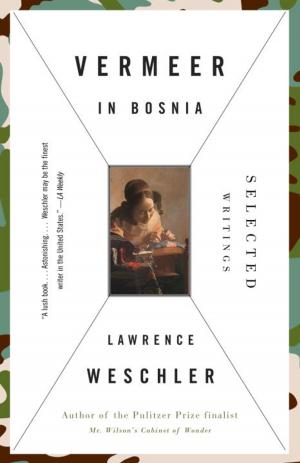 Cover of the book Vermeer in Bosnia by Winston Groom