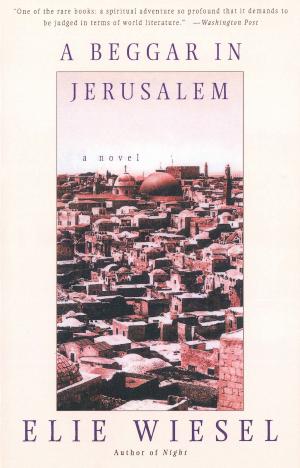 Cover of the book A Beggar in Jerusalem by Mary Gordon