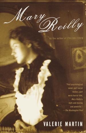 Cover of the book Mary Reilly by Julian Barnes