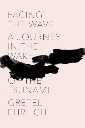 Cover of the book Facing the Wave by Hakan Nesser