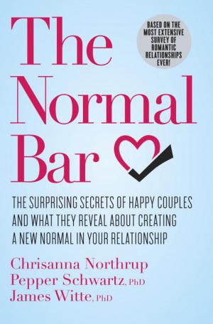 bigCover of the book The Normal Bar by 