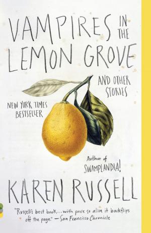 Book cover of Vampires in the Lemon Grove