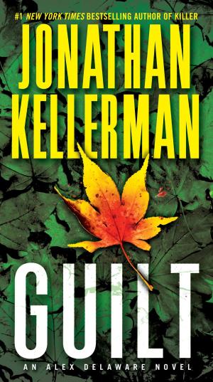 Cover of the book Guilt by Deborah Copaken Kogan