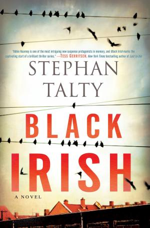 Cover of the book Black Irish by Inez Reilly