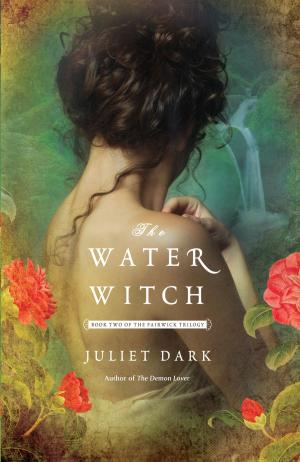 Cover of the book The Water Witch by Jim Davis
