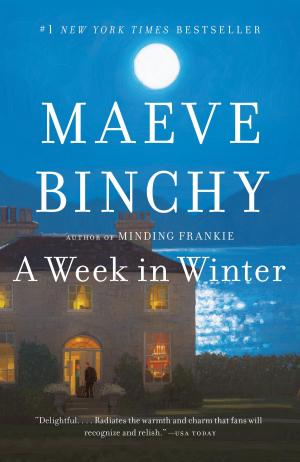 Cover of the book A Week in Winter by James A. Hetley