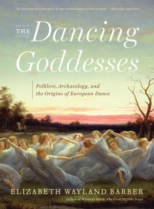 Cover of the book The Dancing Goddesses: Folklore, Archaeology, and the Origins of European Dance by James Lasdun