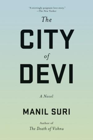 Cover of the book The City of Devi: A Novel by Jason Novak