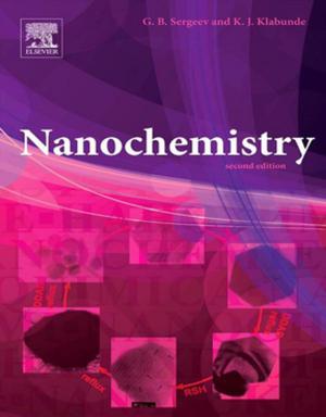 Cover of the book Nanochemistry by Kivie Moldave