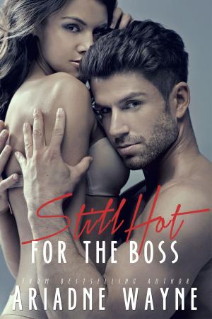 Cover of the book Still Hot For The Boss (Book 2) by Kirsten Osbourne