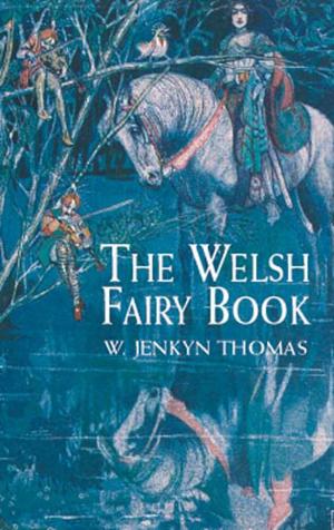Cover of the book The Welsh Fairy Book by Washington Irving