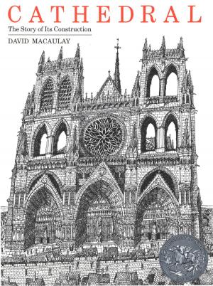 Cover of the book Cathedral by Jade Chang