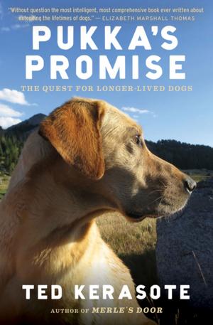 Cover of the book Pukka's Promise by Amos Oz