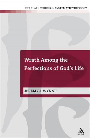 Cover of the book Wrath Among the Perfections of God's Life by David Brewer