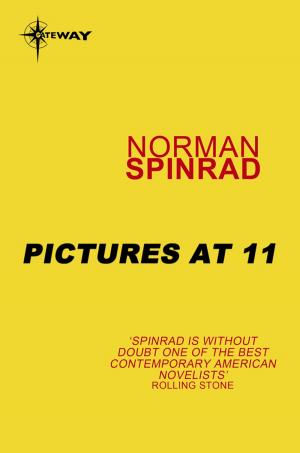 Cover of the book Pictures at 11 by John Connor