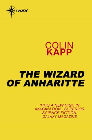 Book cover of The Wizard of Anharitte