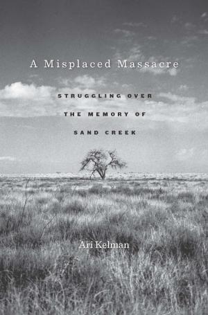 Cover of the book A Misplaced Massacre by Heather Ross