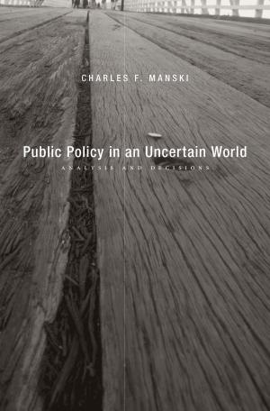 Cover of the book Public Policy in an Uncertain World by Zephyr Teachout