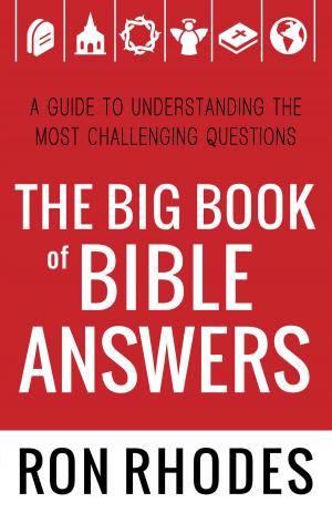 Cover of the book The Big Book of Bible Answers by Amber H. Massey