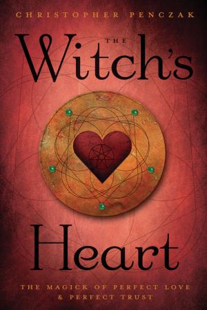Book cover of The Witch's Heart